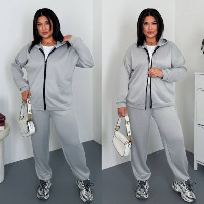 Костюм з капюшоном сірий №259940